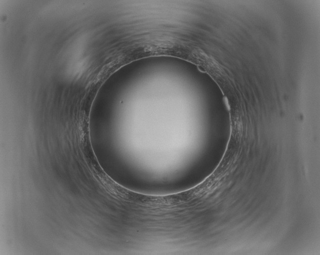 X0000071931012200607141355