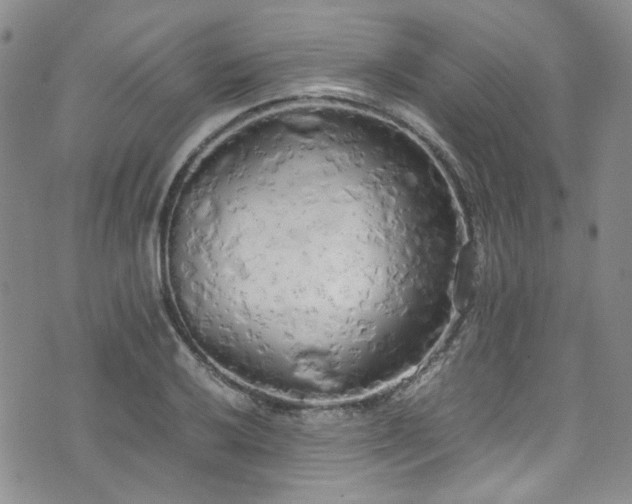 X0000071931032200607141355