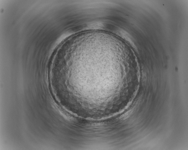 X0000071931035200607141355