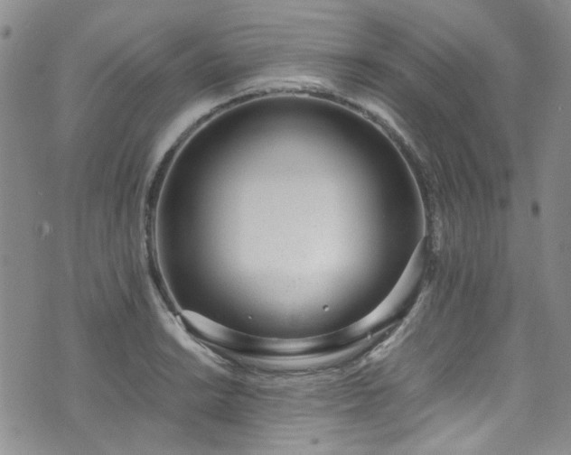 X0000071931038200607141355