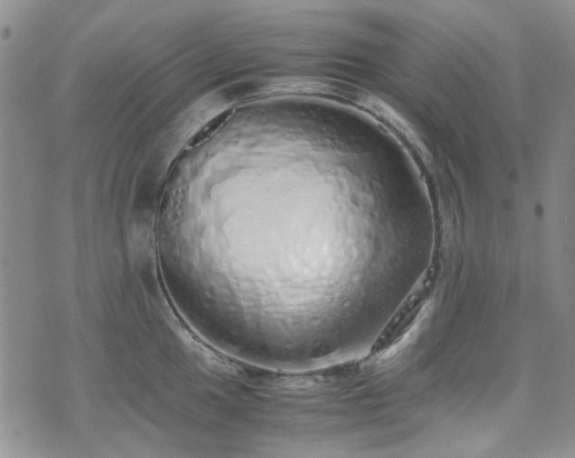 X0000071931049200607141355