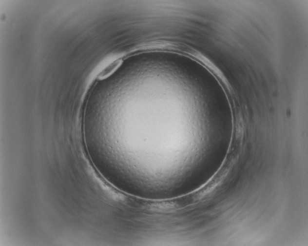 X0000071931053200607141355