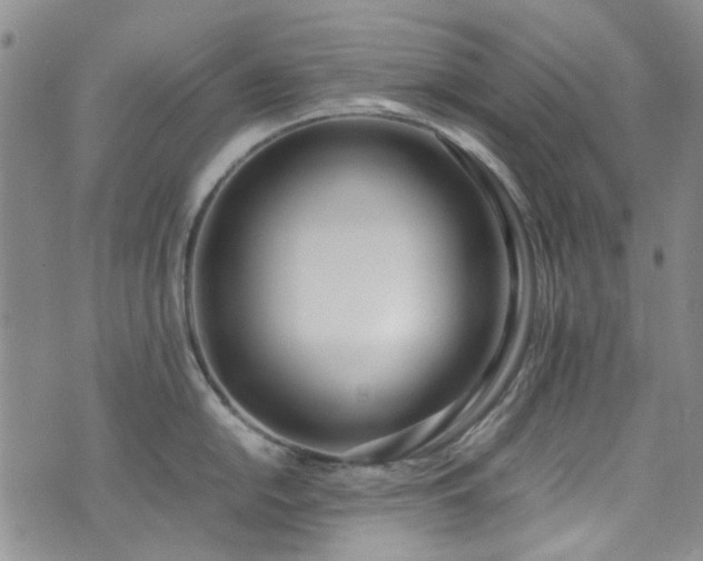 X0000071931054200607141355