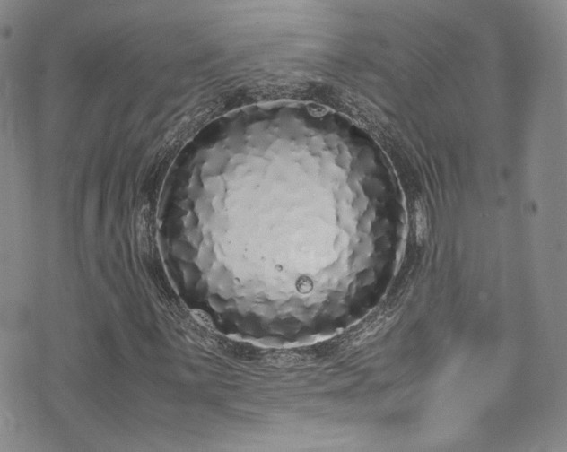X0000071931059200607141355