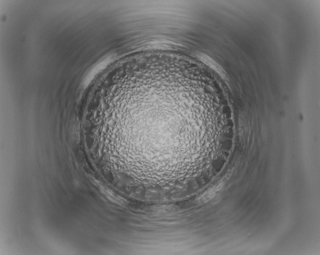 X0000071931067200607141354