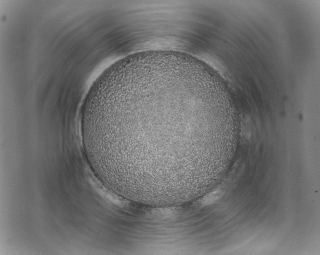 X0000071931078200607141354
