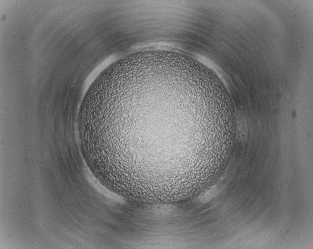 X0000071931090200607141354