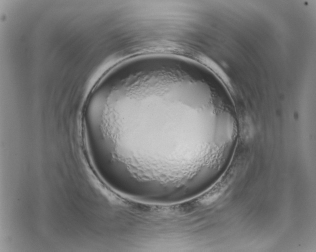 X0000071931099200607141354