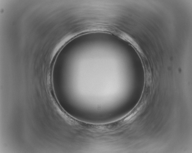 X0000071931101200607141354