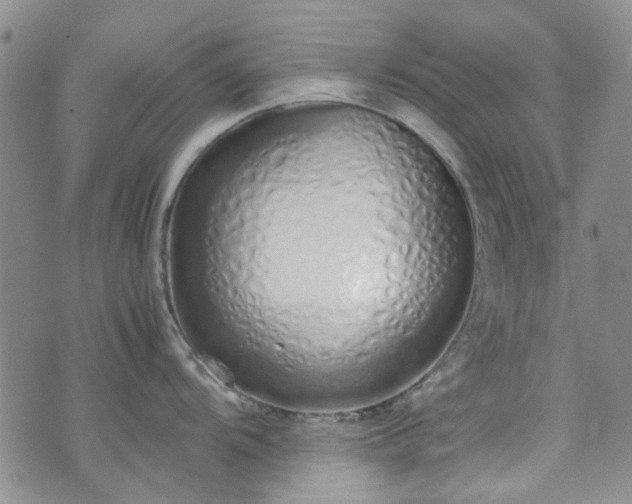 X0000071931104200607141354