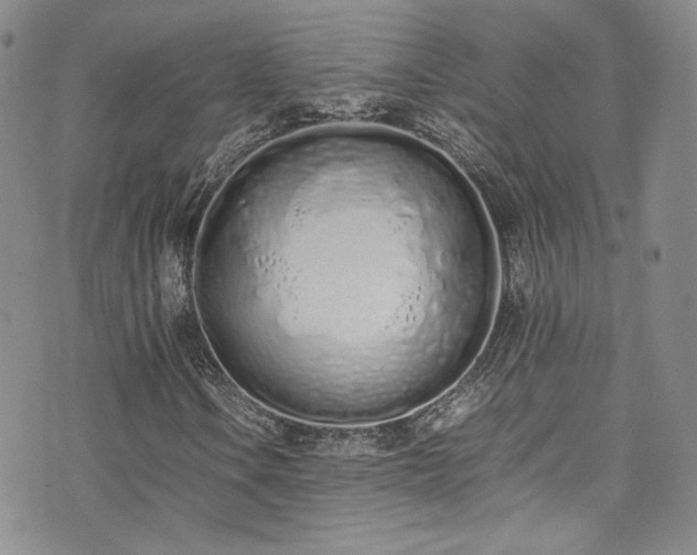 X0000071931106200607141353