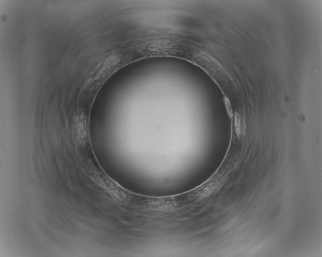 X0000071931107200607141353