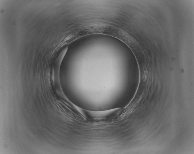 X0000071931108200607141353