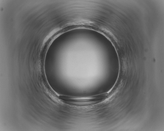 X0000071931114200607141353