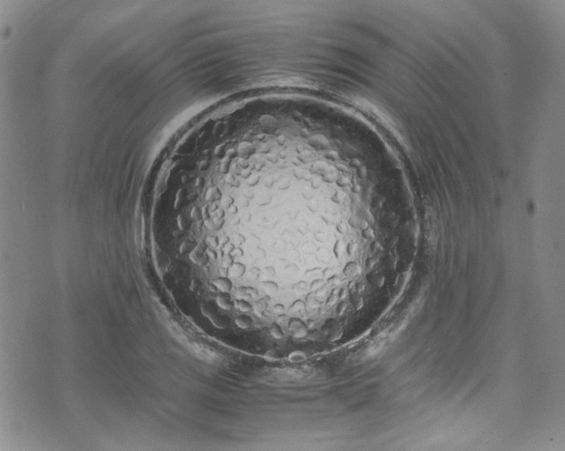 X0000071931125200607141353