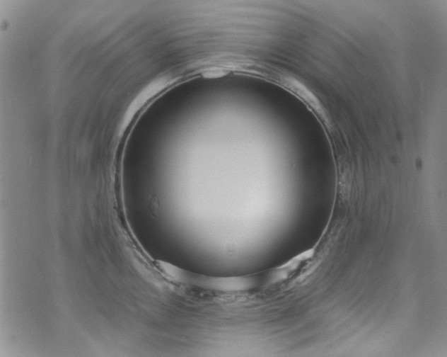 X0000071931146200607141354