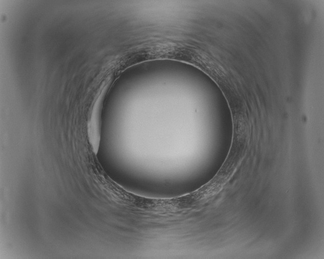 X0000071931153200607141353
