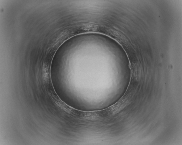 X0000071931154200607141353