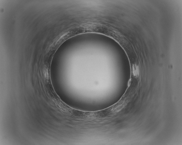 X0000071931155200607141353