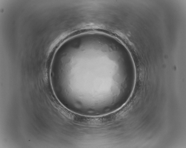 X0000071931167200607141353