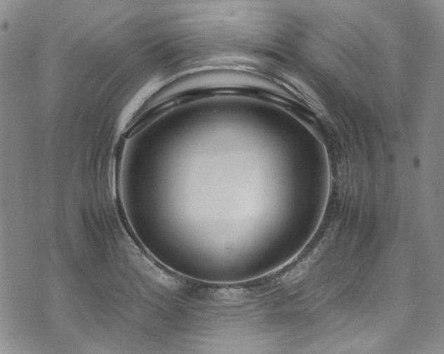 X0000071931180200607141353