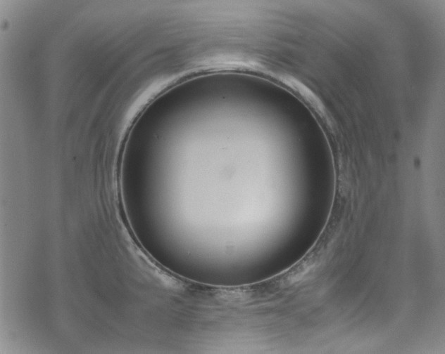 X0000071931191200607141352