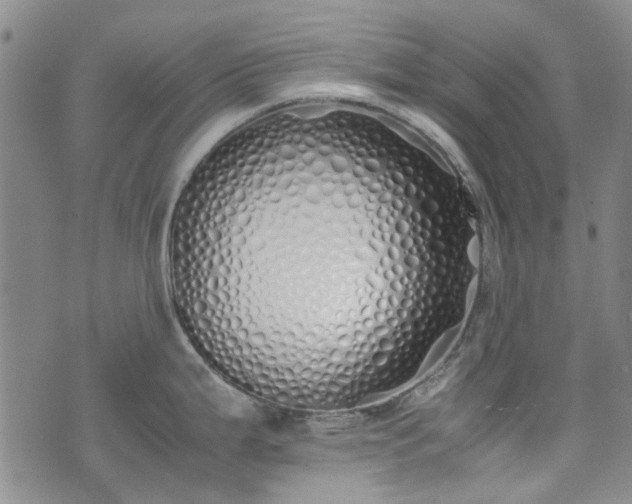 X0000071931199200607141352