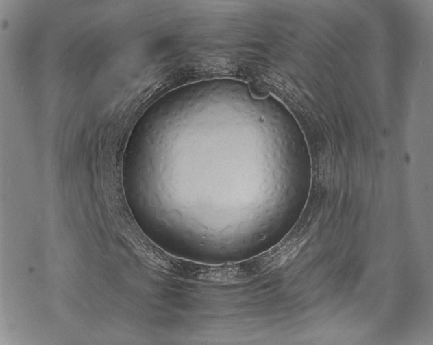 X0000071931201200607141351