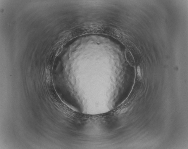 X0000071931203200607141352