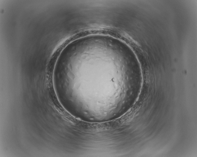 X0000071931208200607141352