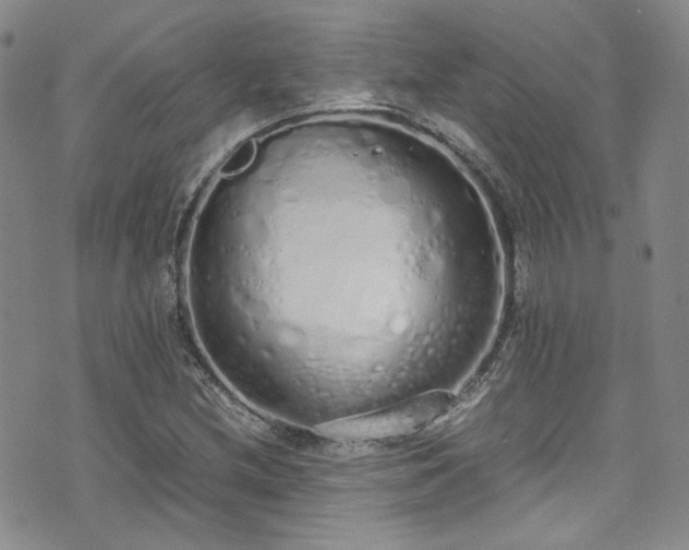 X0000071931212200607141352