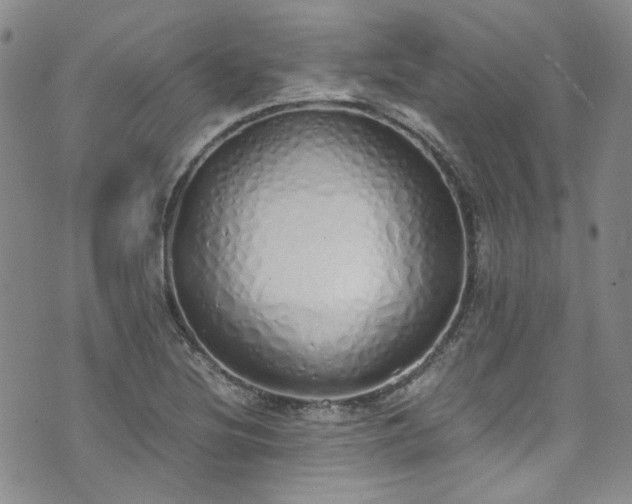 X0000071931220200607141352