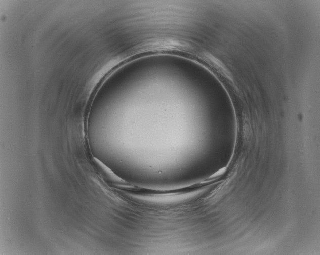 X0000071931226200607141352