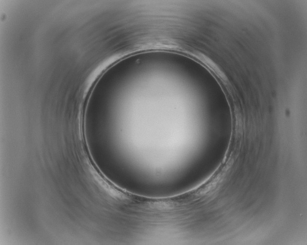 X0000071931246200607141352