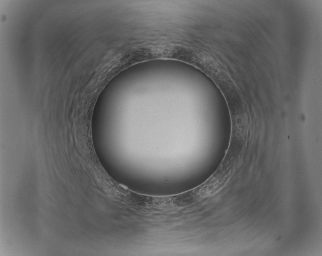 X0000071931249200607141351