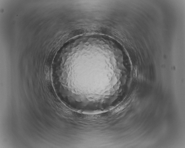 X0000071931251200607141351