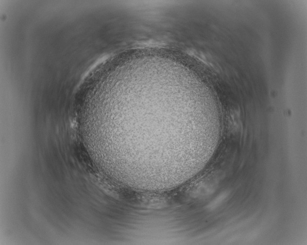X0000071931254200607141351
