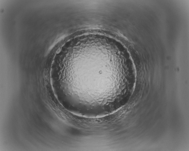 X0000071931255200607141351