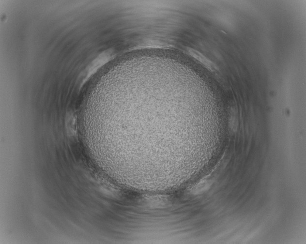 X0000071931258200607141351