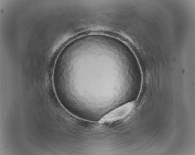X0000071931263200607141351