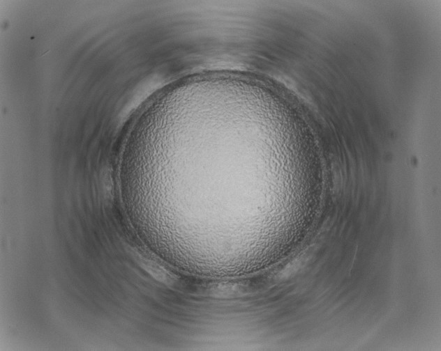 X0000071931266200607141351