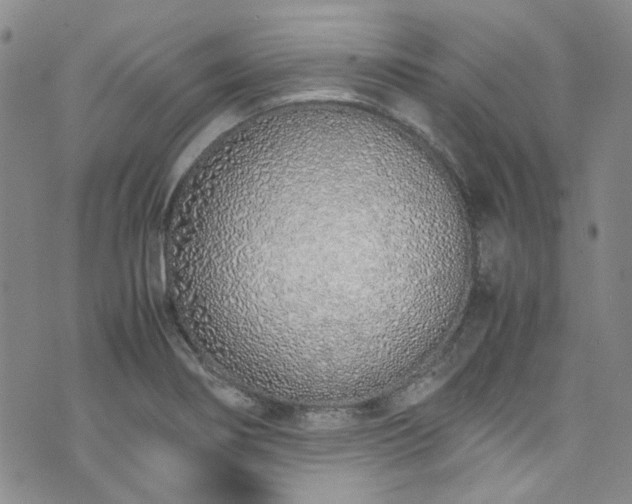 X0000071931274200607141351