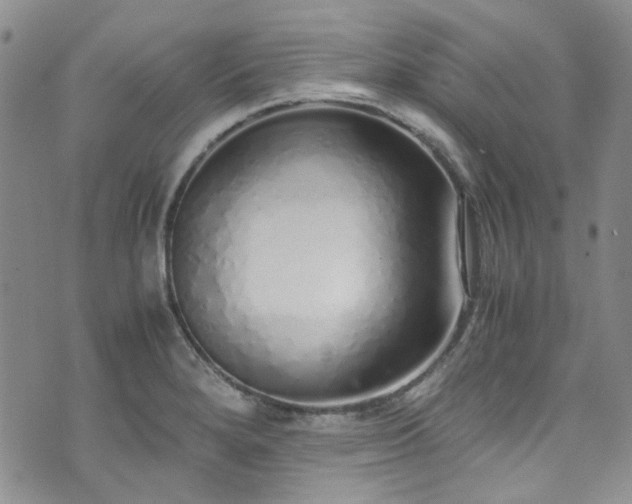 X0000071931280200607141351