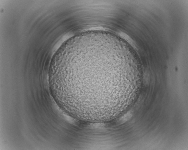 X0000071931282200607141351