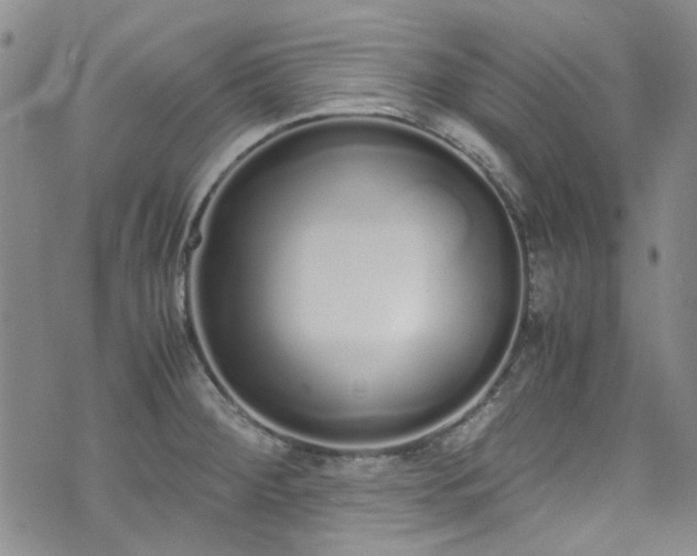 X0000071931284200607141351