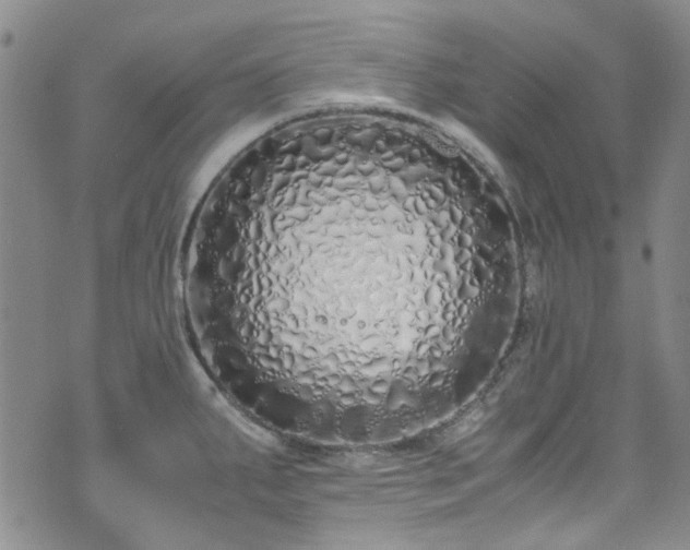 X0000071931287200607141351