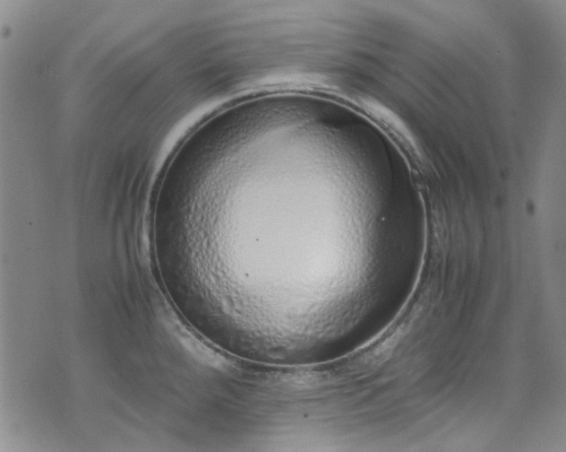 X0000071931288200607141351