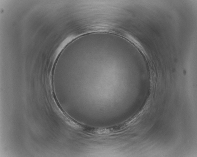 X0000071931291200607141351