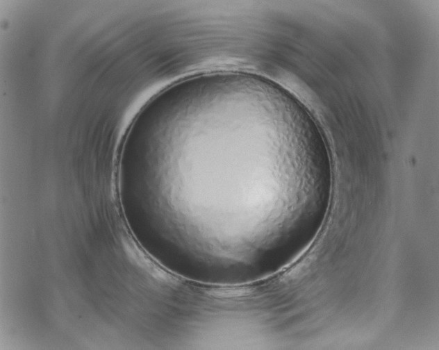 X0000071931296200607141351