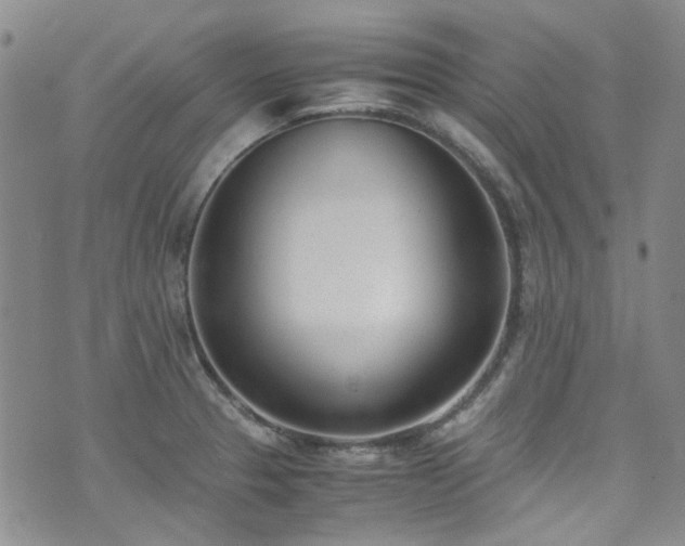 X0000071931329200607141350